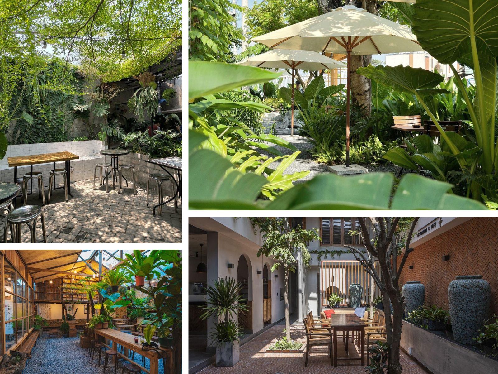 Thiết kế quán cafe sân vườn phong cách vườn nhiệt đới